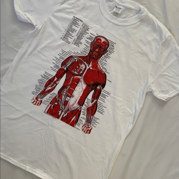 Shirts | Kurt Cobain Anatomy Shirt 